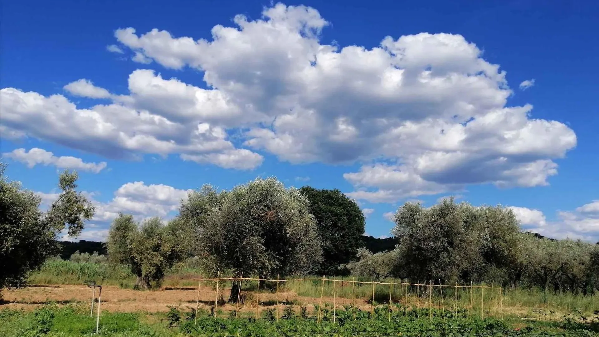 Holiday Home In Castagneto Carducci 27464 Italy