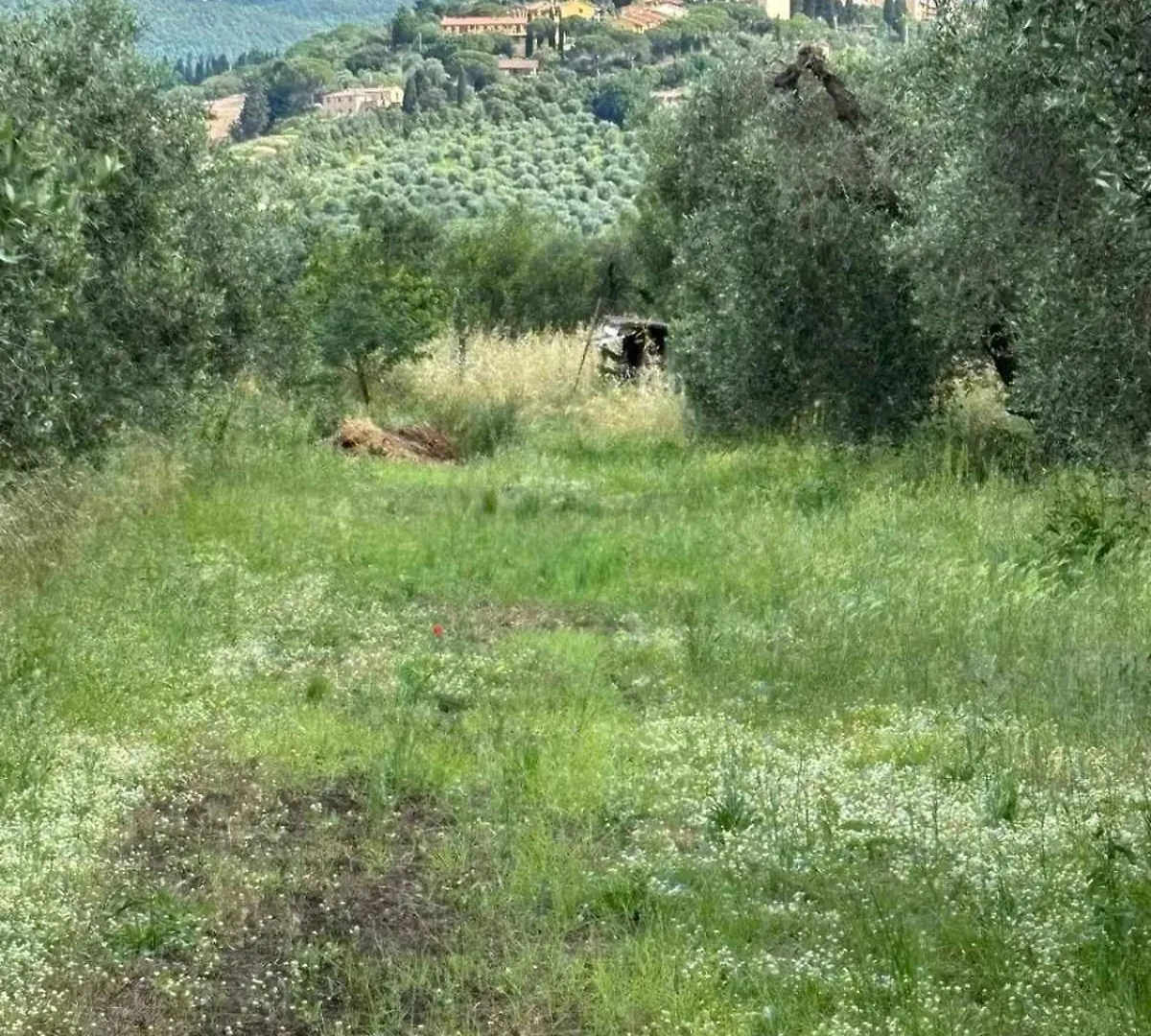Holiday Home In Castagneto Carducci 27464