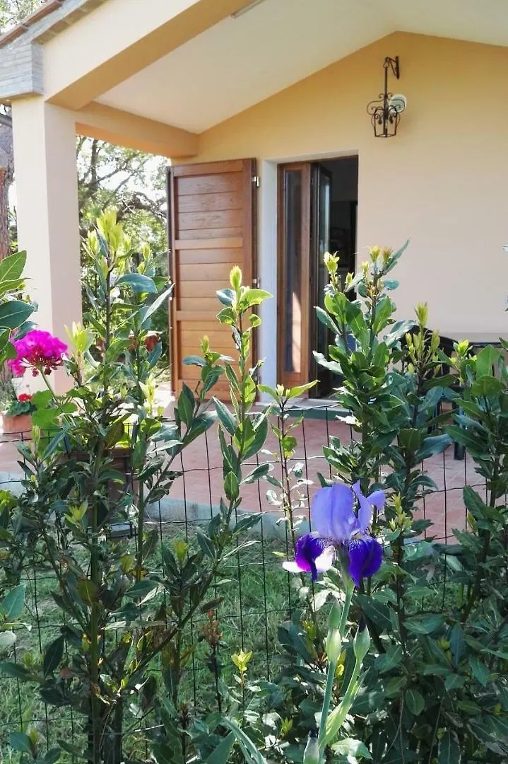 Holiday Home In Castagneto Carducci 27464 Italy