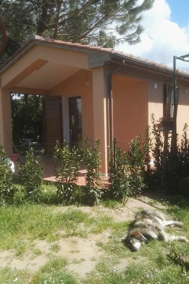 Holiday Home In Castagneto Carducci 27464