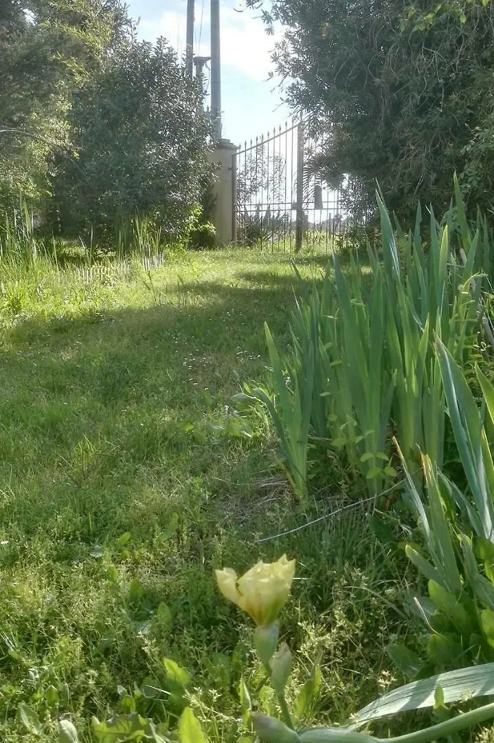 Holiday Home In Castagneto Carducci 27464